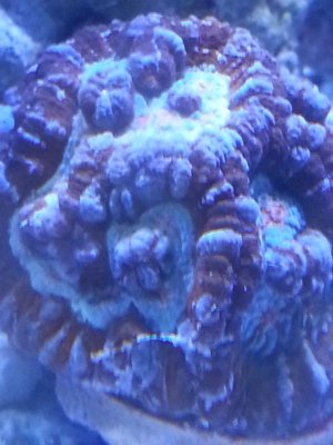20131228_134448.jpg