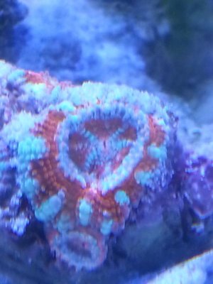 20131228_134439.jpg