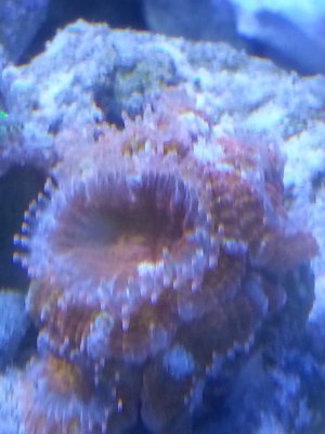 20131228_134509.jpg