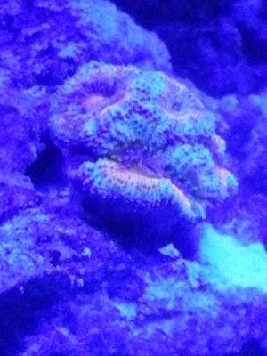 20140101_020450.jpg
