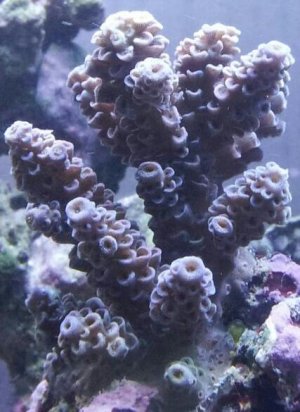 20131210_184211-1-1.jpg