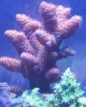 20140105_230055-1.jpg