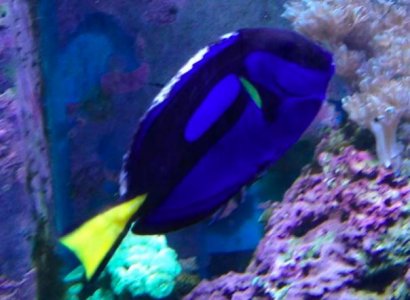 Screenshot 2014-01-06 13.53.03.jpg