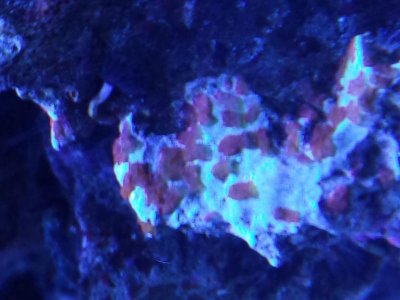 20140103_144727.jpg
