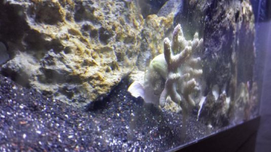 20140125_111455-1.jpg