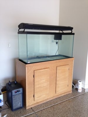 cl aquarium 1.jpg