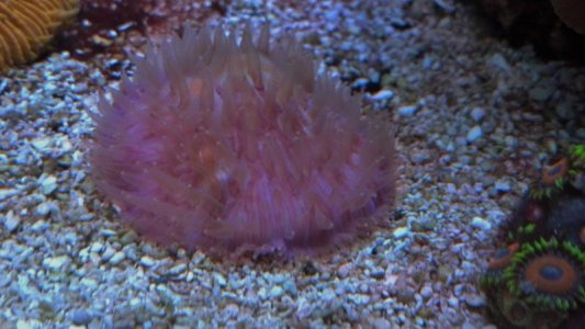 2013-04-08_11-03-38_132.jpg