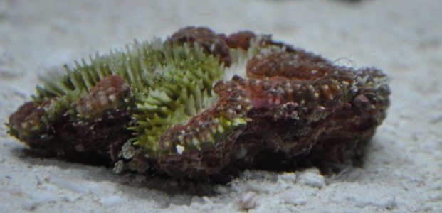 DSC_1184.jpg