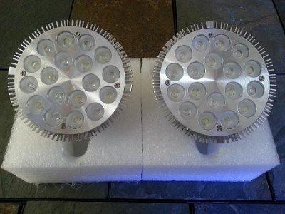 PAR38 Bulbs.jpg