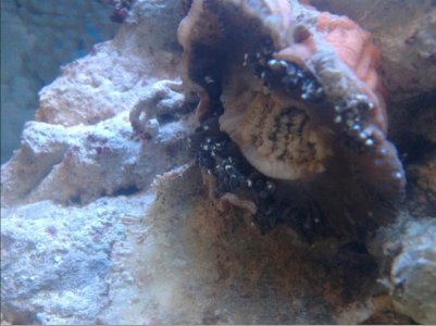 Screen Shot 2014-01-11 at 9.28.54 AM.jpg