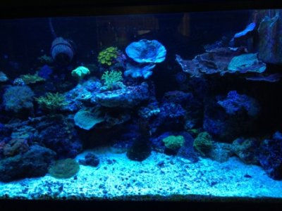 aquascape1c.jpg