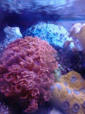 PART_1390907358935.jpg