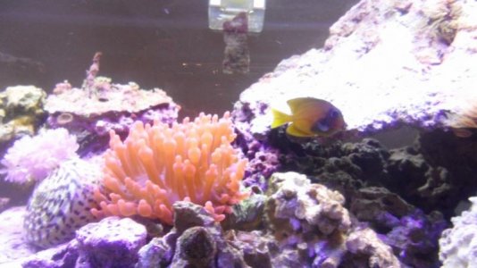 SAM_5940 (800x450).jpg