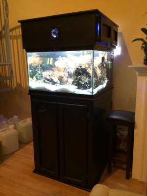 fish1.6.jpg