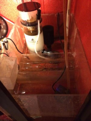 fish4.jpg