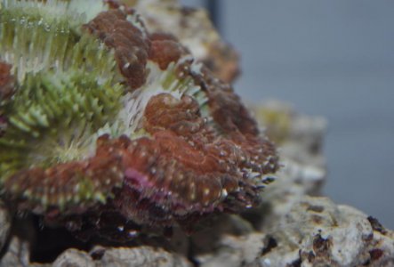 DSC_1194.jpg