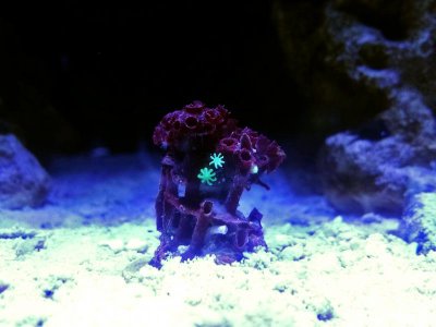 tumblr_n04secmqYp1sgpnrko1_1280.jpg tumblr_n04secmqYp1sgpnrko1_1280.jpg