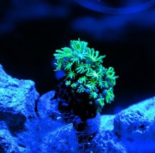 Untitled.jpg Untitled.jpg