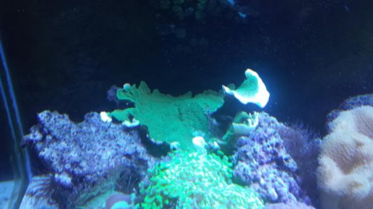 20140128_194150 R.jpg