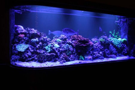 IMG_2956 Full under Blue.jpg