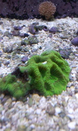 20140130_114033.jpg