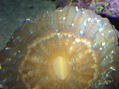 IMG_4697.jpg