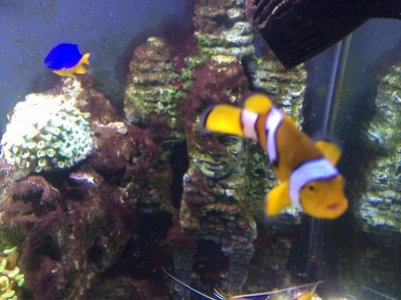 IMG_1112 (800x600).jpg