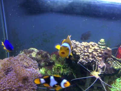 IMG_1116 (800x600).jpg