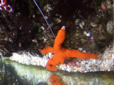 IMG_1117 (800x600).jpg