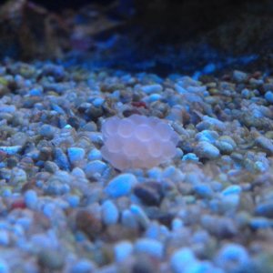 photo (2).jpg