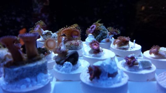 20140219_101944.jpg