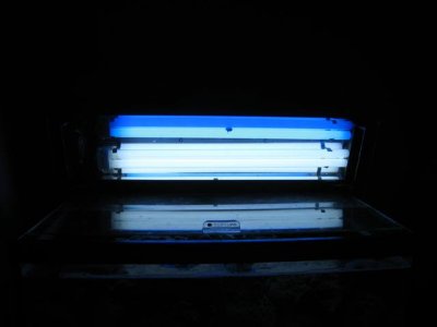 pc light 3.jpg