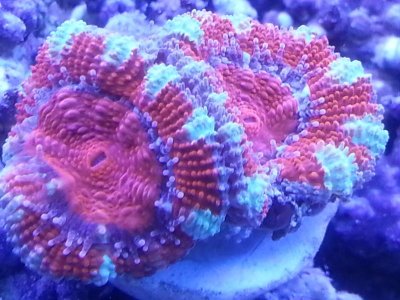 20131221_155358.jpg