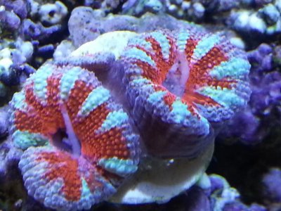 20140101_145512.jpg