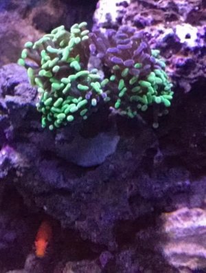 hammer.jpg
