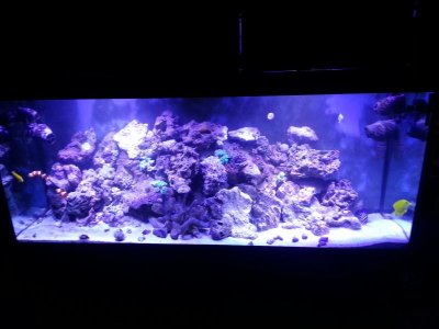 20140220_200649.jpg
