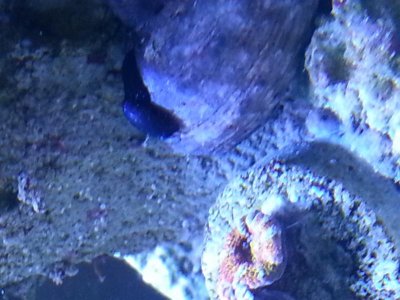 20140222_134754.jpg