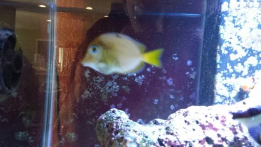 uploadfromtaptalk1393103972936.jpg uploadfromtaptalk1393103972936.jpg