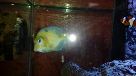 uploadfromtaptalk1393103986139.jpg uploadfromtaptalk1393103986139.jpg