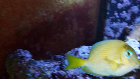 uploadfromtaptalk1393104000567.jpg uploadfromtaptalk1393104000567.jpg