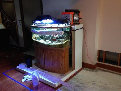 Previous tank location (web).jpg