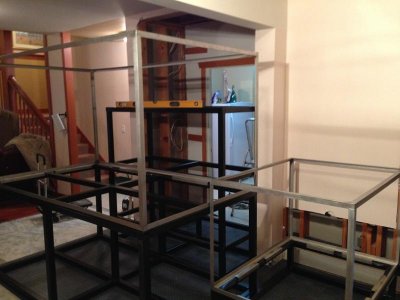 Mangrove Stand and Frame in new location (web).jpg