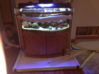 Strapping the tank to move (web).jpg