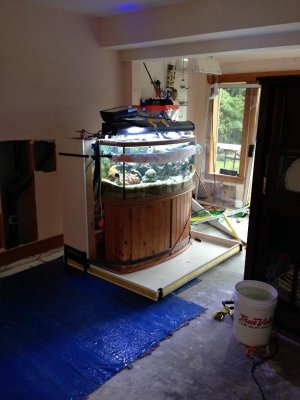 Tank after moving (web).jpg