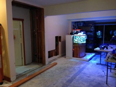 Wall and Floor removed (web).jpg