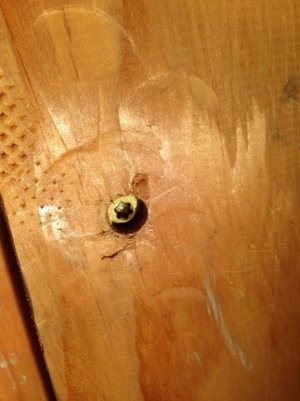 Re-anchoring 2x6 with countersunk wood screws (web).jpg