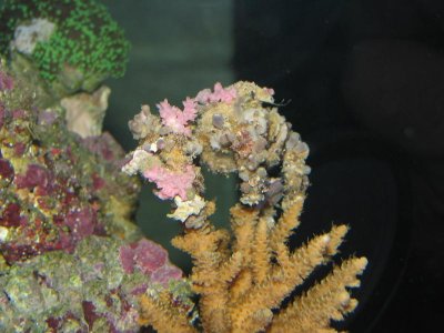 IMG_1296.jpg
