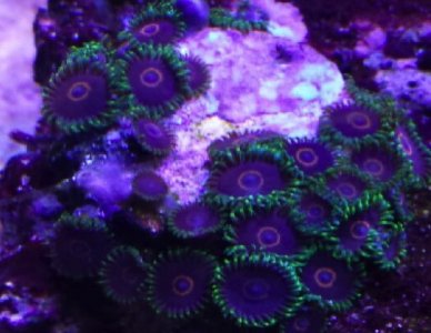 20131220_095305.jpg