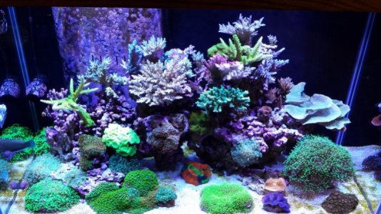 FTS Feb 14.jpg