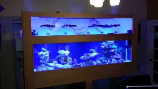 Full Tank lights.jpg